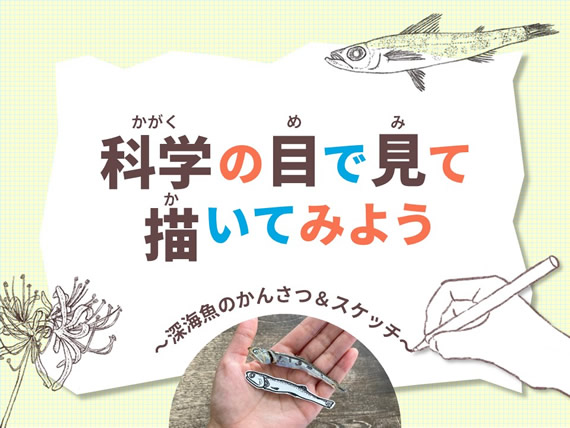 深海魚の観察＆スケッチ体験！日本科学未来館で科学の目を育てよう