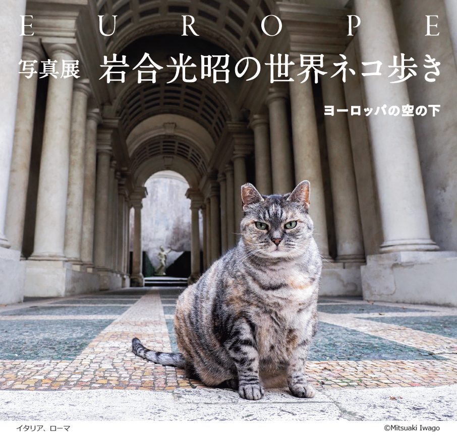 岩合光昭の世界ネコ歩き ヨーロッパの空の下 写真展 札幌会場