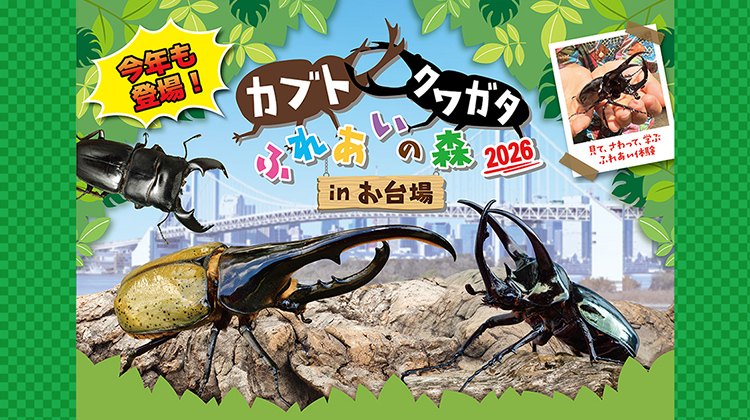 カブトクワガタふれあいの森 in 台場 2026：デックス東京ビーチで開催！