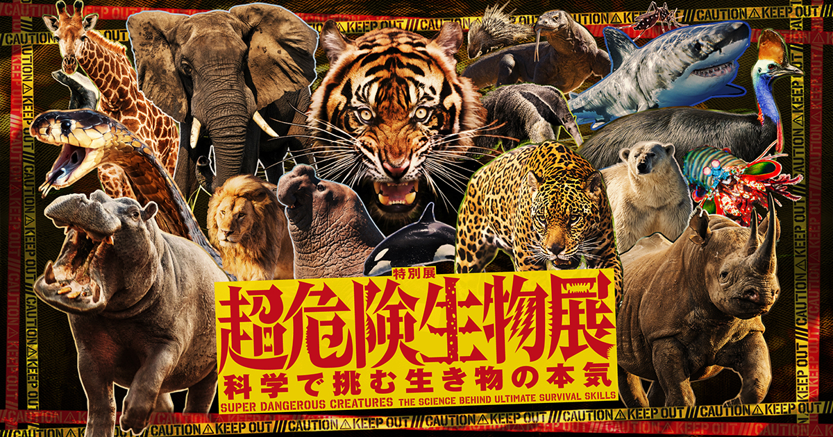 超危険生物展：科学で挑む生き物の驚異！国立科学博物館で開催