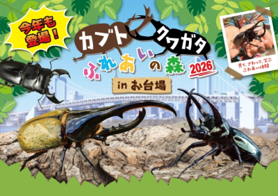 カブト・クワガタ ふれあいの森 in お台場 2026 | デックス東京ビーチ