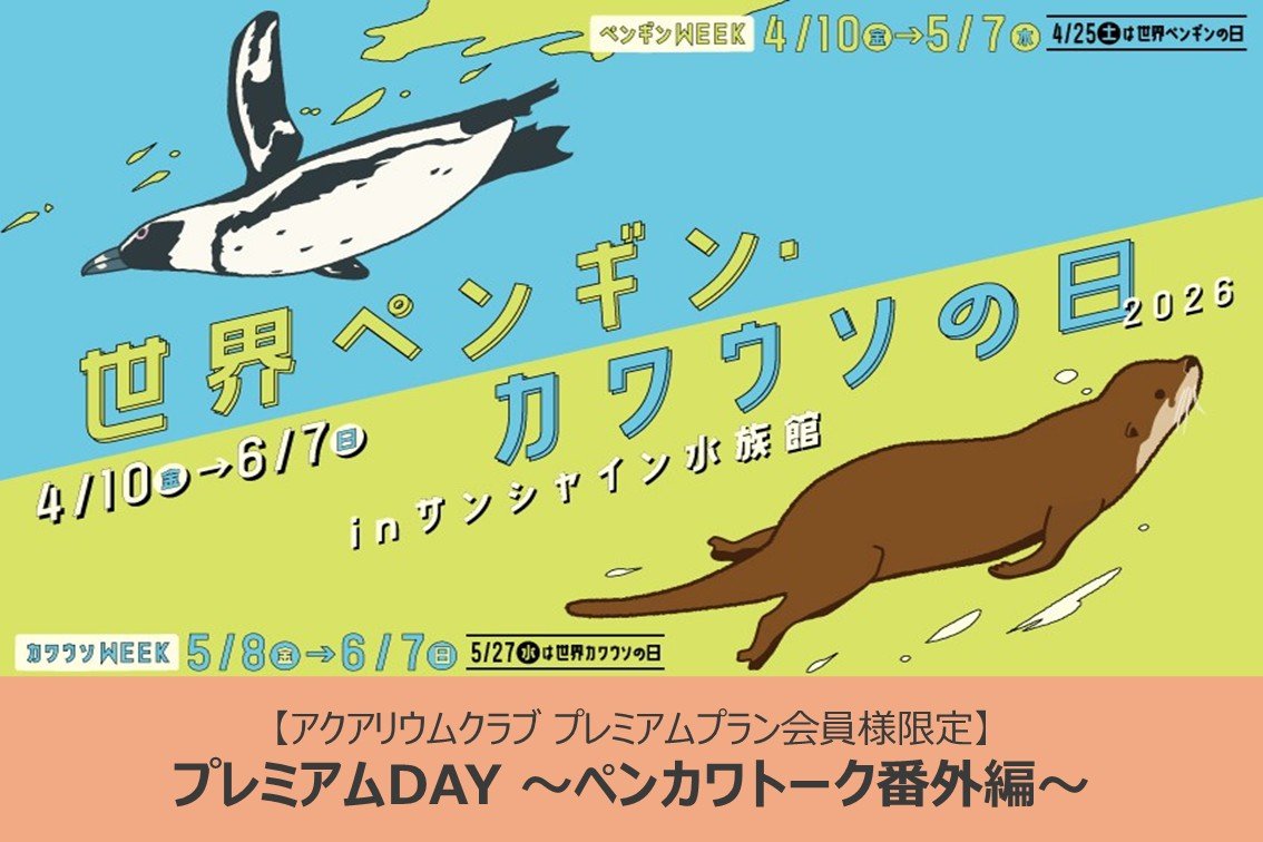 【会員限定】ペンギン・カワウソの裏側を覗こう！サンシャイン水族館プレミアムDAY